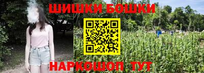 гашик Обь