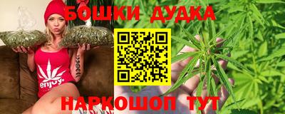 гашик Обь