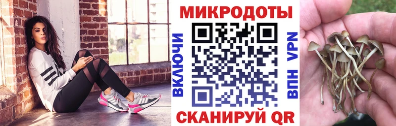 Псилоцибиновые грибы мухоморы  купить наркотики цена  Дагестанские Огни 